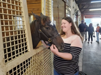 Unique Horse Farm Tour: Lexington Kentucky Horse Farms Tour